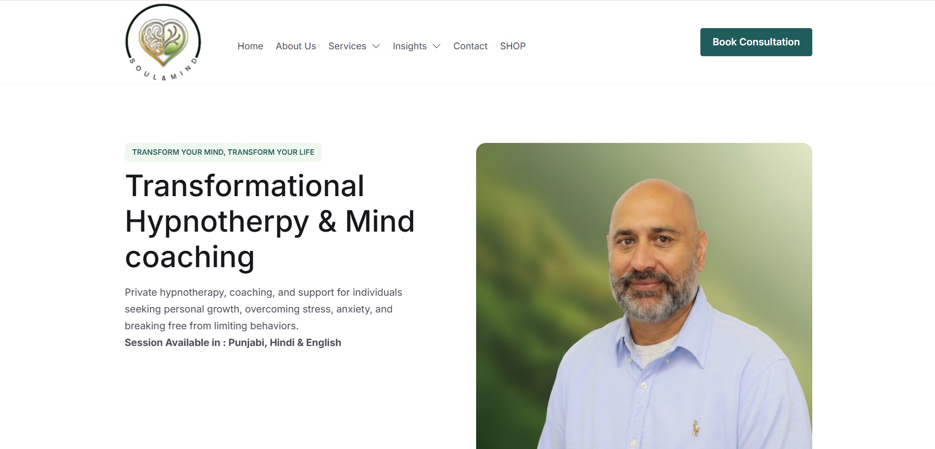 Soul and Mind website thumbnail